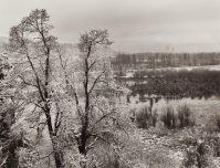 Rodney%20J.%20Cartasegna%2C%20%3Cb%3E%3Ci%3E%20Winter%2C%20Oaks%20Bottom%2C%20Oregon%3C%2Fi%3E%3C%2Fb%3E%2C%201986%2C%20gelatin%20silver%20print%2C%20Gift%20of%20the%20Artist%2C%20%26%23169%3B%20unknown%2C%20research%20required%2C%2089.19